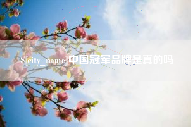辽源中国冠军品牌是真的吗