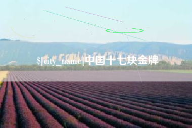 辽源中国十七块金牌