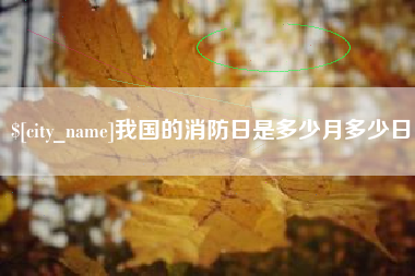 辽源我国的消防日是多少月多少日
