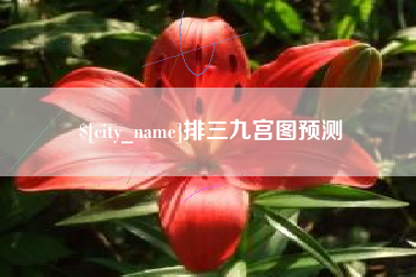 辽源排三九宫图预测