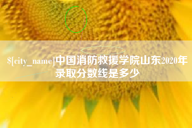 辽源中国消防救援学院山东2020年录取分数线是多少