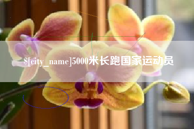 辽源5000米长跑国家运动员