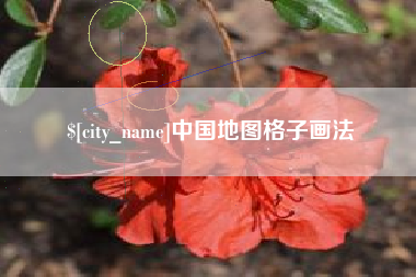 辽源中国地图格子画法