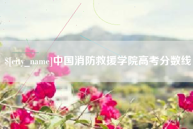辽源中国消防救援学院高考分数线