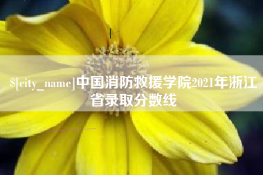 辽源中国消防救援学院2021年浙江省录取分数线