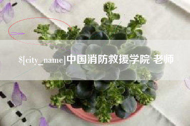 辽源中国消防救援学院 老师