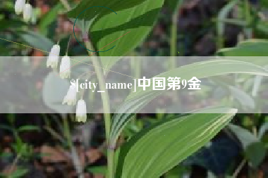 辽源中国第9金