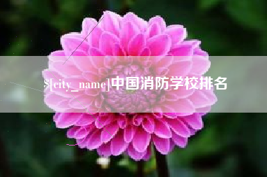 辽源中国消防学校排名