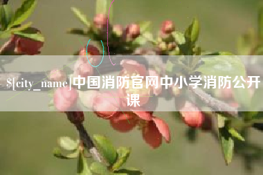 辽源中国消防官网中小学消防公开课