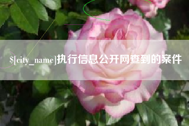 辽源执行信息公开网查到的案件