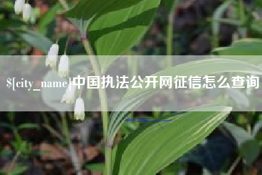 辽源中国执法公开网征信怎么查询