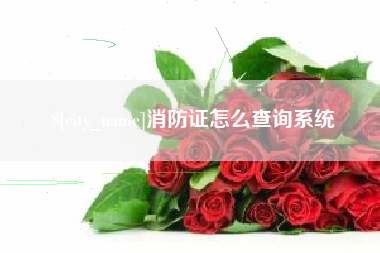 辽源消防证怎么查询系统