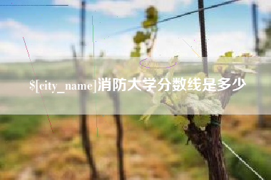 辽源消防大学分数线是多少