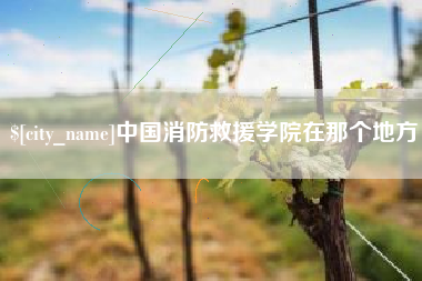 辽源中国消防救援学院在那个地方