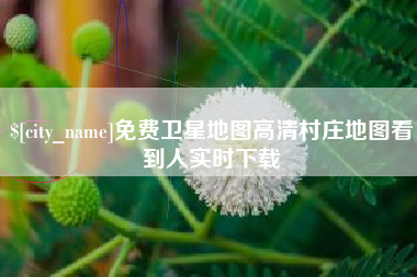 辽源免费卫星地图高清村庄地图看到人实时下载