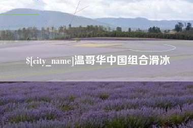 辽源温哥华中国组合滑冰