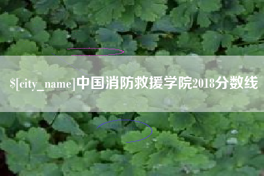 辽源中国消防救援学院2018分数线