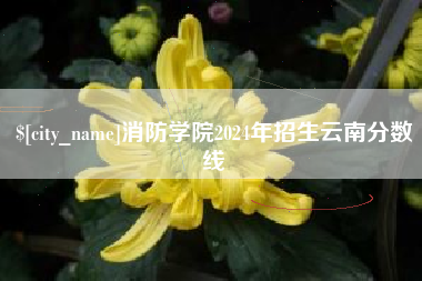 辽源消防学院2024年招生云南分数线