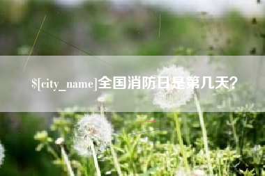 辽源全国消防日是第几天？