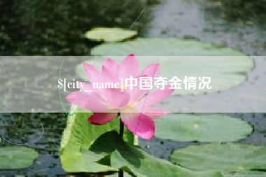 辽源中国夺金情况