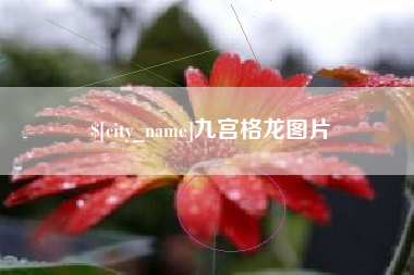 辽源九宫格龙图片