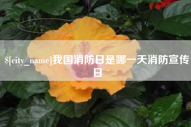 辽源我国消防日是哪一天消防宣传日
