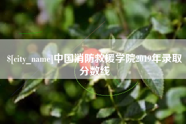 辽源中国消防救援学院2019年录取分数线