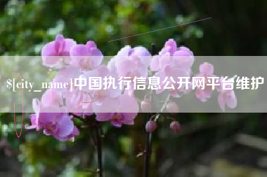 辽源中国执行信息公开网平台维护
