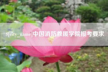 辽源中国消防救援学院报考要求