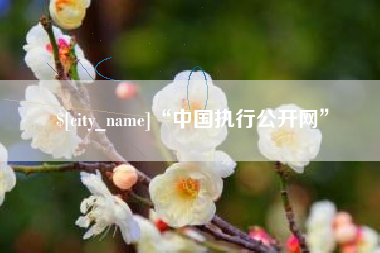 辽源“中国执行公开网”