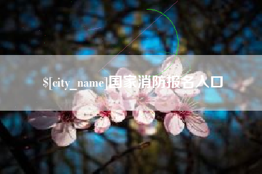 辽源国家消防报名入口