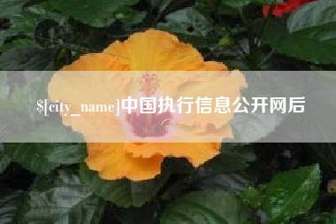 辽源中国执行信息公开网后