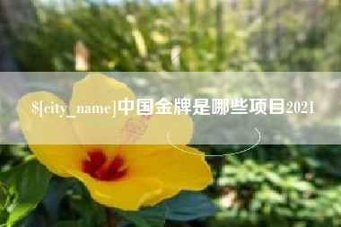 辽源中国金牌是哪些项目2021