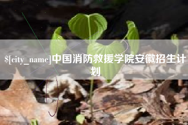 辽源中国消防救援学院安徽招生计划