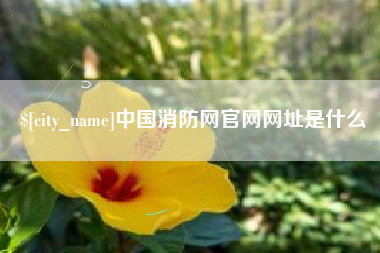 辽源中国消防网官网网址是什么