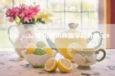 辽源中国消防救援学院分数2020