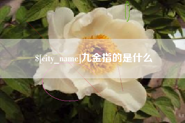 辽源九金指的是什么