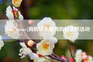 辽源消防日全国消防日主题活动