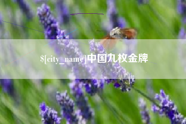 辽源中国九枚金牌