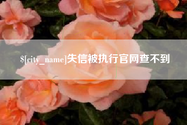 辽源失信被执行官网查不到