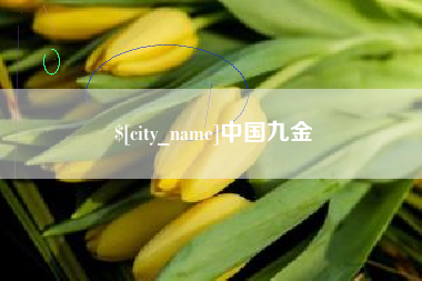 辽源中国九金