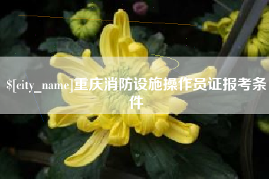 辽源重庆消防设施操作员证报考条件