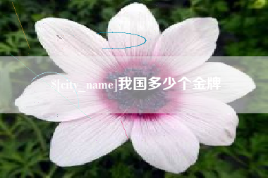 辽源我国多少个金牌
