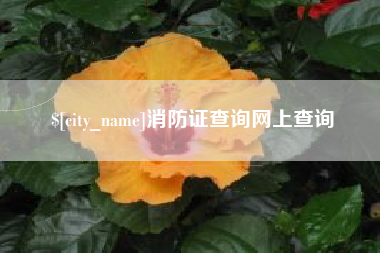 辽源消防证查询网上查询