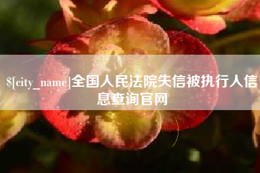 辽源全国人民法院失信被执行人信息查询官网