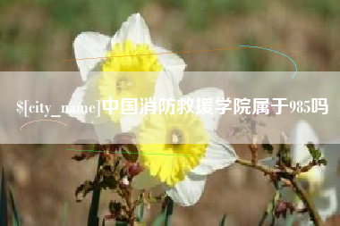 辽源中国消防救援学院属于985吗