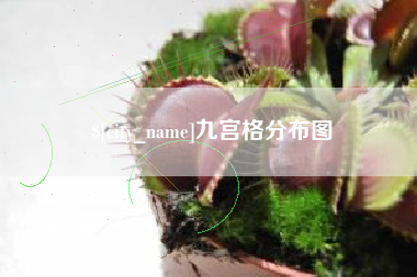 辽源九宫格分布图