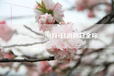 辽源11月9日消防日全称