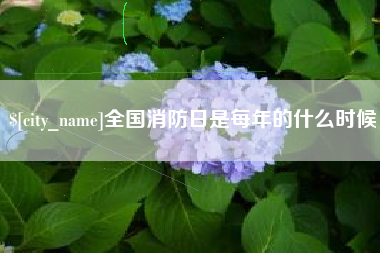 辽源全国消防日是每年的什么时候