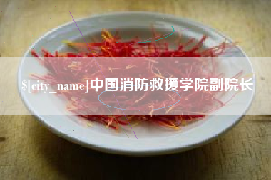 辽源中国消防救援学院副院长